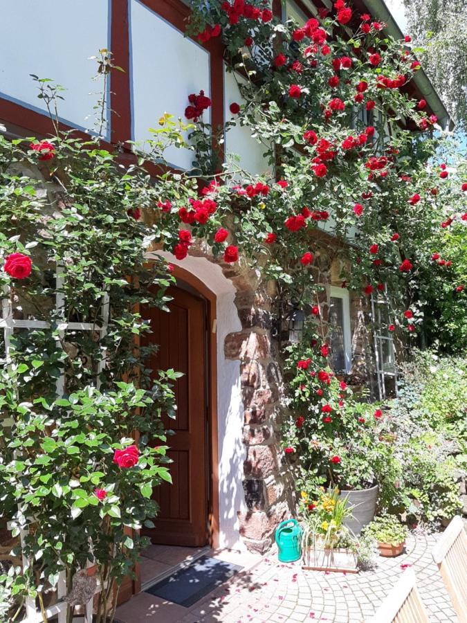 Ferienhaus Burgblick Münzenberg Esterno foto